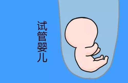 试管代怀包生捐卵公司
